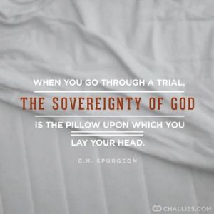 sovereignty-pillow