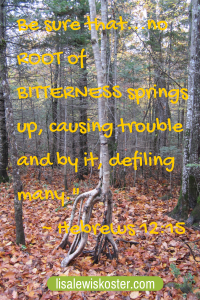 Hebrews 12.15