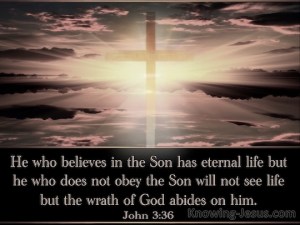 John-3-36-He-Who-Believes-Has-Eternal-Life-black-copy