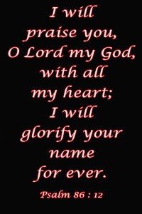 psalm 86 12