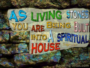 1-Peter-2-8-You-Are-Living-Stoned-black-copy