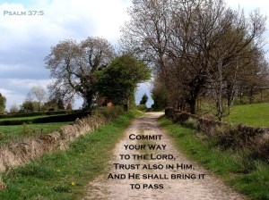 psalm 37 5