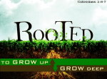 rooted in Christ