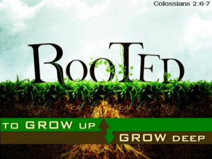rooted in Christ