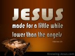 Hebrews 2-9 Jesus Made A Little Lower Than Angels brown