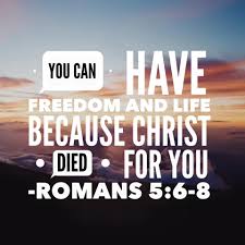 Romans 5 6 8