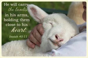 isaiah-40-11-1