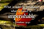imperishable