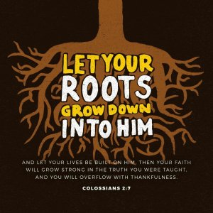 colossians 2 7