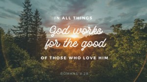romans 8-28