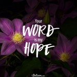Your Word -my hope