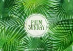 Palm Sunday vector